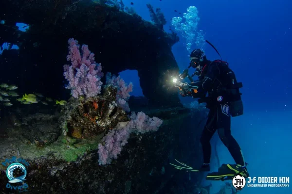 PAdi Course